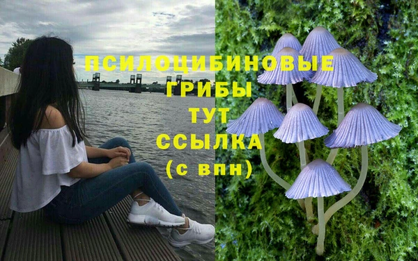 МДМА Верхний Тагил