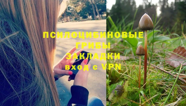 МДМА Верхний Тагил