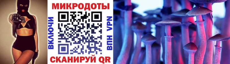 Галлюциногенные грибы Psilocybine cubensis  продажа наркотиков  гидра рабочий сайт  Кирсанов 